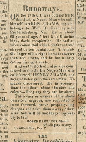 Newspaper article titled "Runaways."