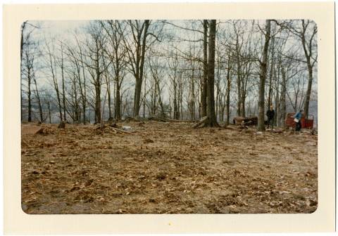 Photo of trees on hill in winter month; 2 people walking through debris near hill