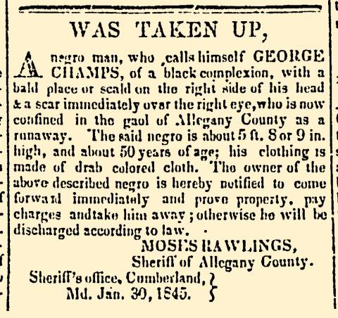 Ad in Alleganian, 1845 - "Was Taken Up," - Moses Rawlings, Sheriff of Allegany County
