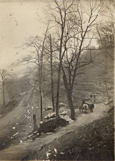 Image of wood pile with worker on wagon with 2 horses, and 1 worker and mule