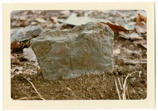 Large rock, this gravestone has "L.D." scraped into it