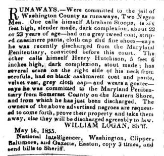 Ad in Herald of Freedom & Torch Light, 1855 - "RUNAWAYS." - WILLIAM LOGAN, Sh'ff