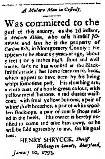Ad in Washington Spy, 1793 - "A Mulatto Man in Custody." by HENRY SHRYOCK, Sheriff of Washington Co