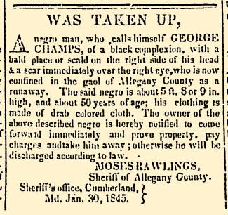 Ad in Alleganian, 1845 - "Was Taken Up," - Moses Rawlings, Sheriff of Allegany County