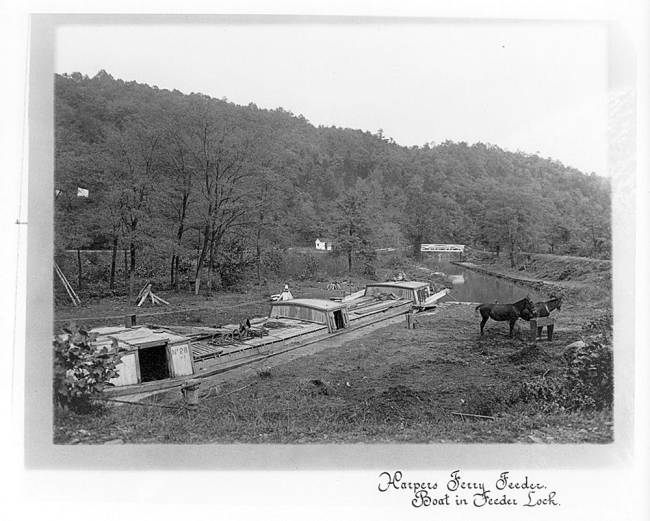 C&O Canal freight boat tied up in the Inlet Lock 3, mules are tied up near a trough