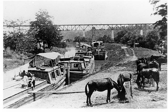 3 boats in canal and 6 mules feeding downstream from lock 38.