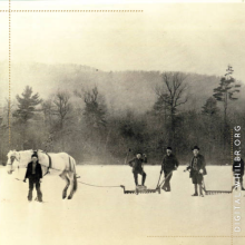 Seven Buena Vista Ice Company Workers on Ice with Horses