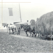 Image of wagon loaded with hay is pulled toward the barn