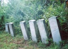 Image of 6 cemetery gravestones from Sumner Cemetery, Allegany County MD