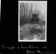 Book wagon on smoke filled country road