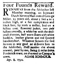 Newspaper article titled "Four Pounds Reward."