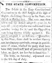 News article from Alleganian - The State Convention , June 29, 1864