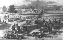 Sketch by Frank Schell depicting the burial after the Battle of Antietam, 1862