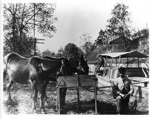 Black family on canal boat; man sits near boat with 2 mules feeding at trough