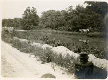 Canal boat in river in Western Maryland; photo taken by WCFL bookmobile, circa 1911-1923