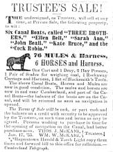 Ad in Herald of Freedom & Torch Light, 1855 - "TRUSTEE'S SALE!"