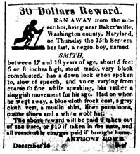 Ad in Torch Light, 1830 - "30 Dollars Reward" by Anthony Rowe