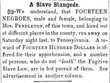 Ad in Herald of Freedom & Torch Light, 1852 - "A Slave Stampede."