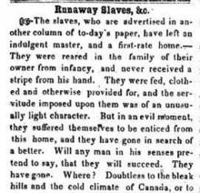 Opinion in Herald of Freedom & Torch Light, 1854 - "Runaway Slaves, &c."