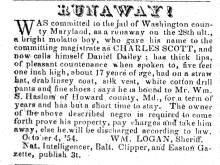 Ad in Herald of Freedom & Torch Light, 1854 - "RUNAWAY!" - by WM. LOGAN, Sheriff