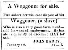Ad in Torch Light, 1819 - "A Waggoner for sale."