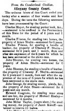 News article in Herald & Torch, 1851 - "Allegany County Court."