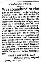 Ad in Washington Spy, 1793 - "A Mulatto Man in Custody." by HENRY SHRYOCK, Sheriff of Washington Co