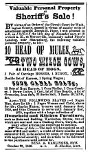 Ad in Herald of Freedom & Torch Light, 1856 - "Valuable Personal Property at Sheriff's Sale!"