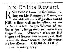 Ad in Washington Spy, 1794 - "Six Dollars Reward." by George Lock