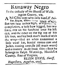 Ad in Washington Spy, 1796 - "Runaway Negro" In the custody of the Sheriff of Washington County