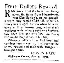 Ad in Washington Spy, 1795 - "Four Dollars Reward" by Leaven Hays