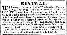 Ad in Herald of Freedom & Torch Light, 1856 - "RUNAWAY." by B.A. GARLINGER, Sh'ff