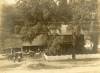 Book wagon with horse parked in front of a house with white picket fence