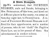 Ad in Herald of Freedom & Torch Light, 1852 - "A Slave Stampede."