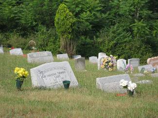 Photo of Woodlawn cemetery with grave stones and flowers 