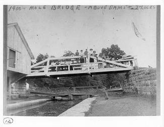 Group of people standing on the mule crossover bridge