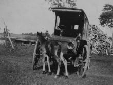 Horse sniffs motorized book wagon in a country field