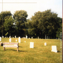 Image of Percy Cemetery, stone heads in field with trees in background